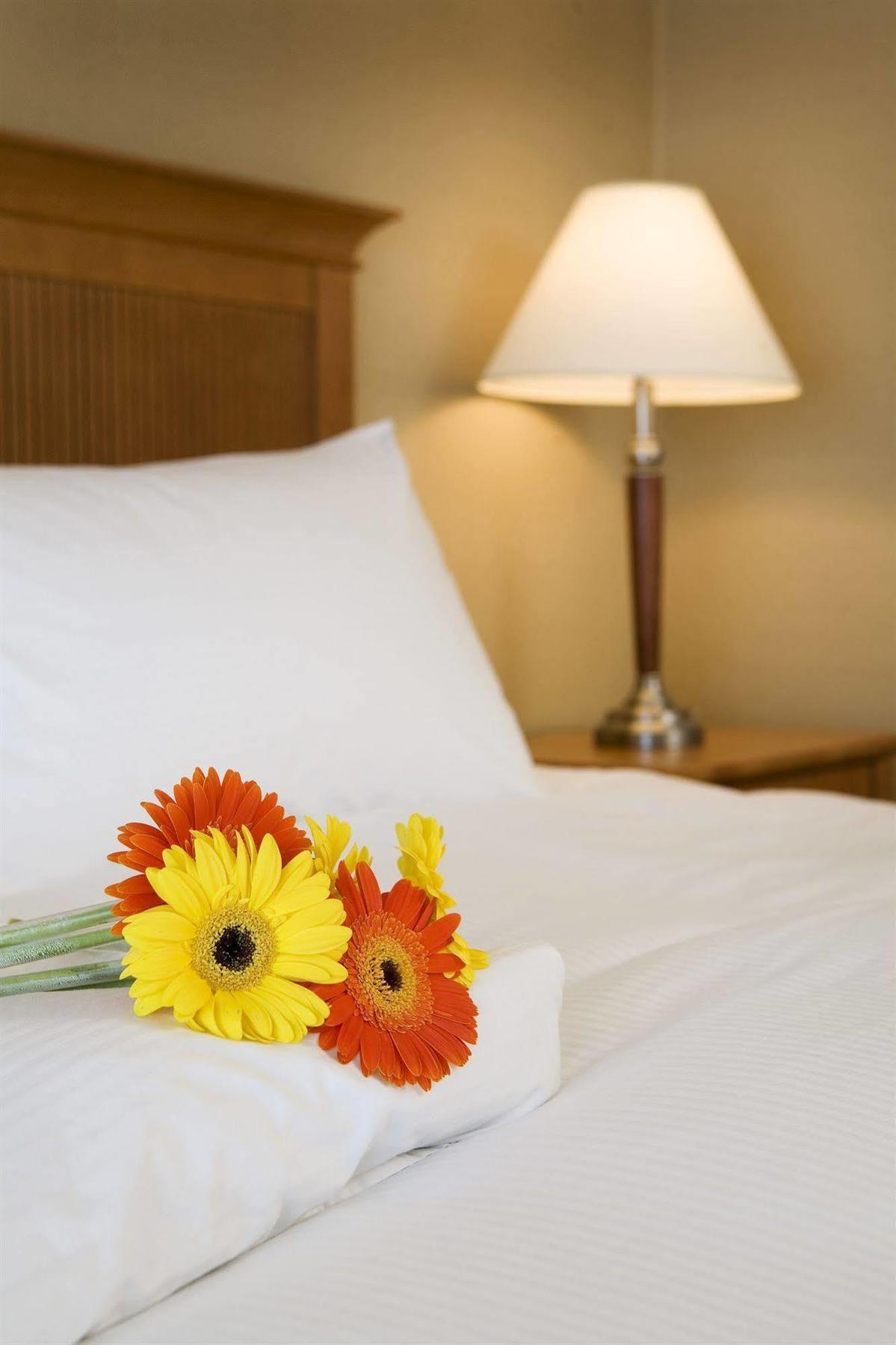 Hotel Coast Capri 4*